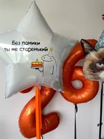 "Без паники!" (набор из 4 шаров) №2229