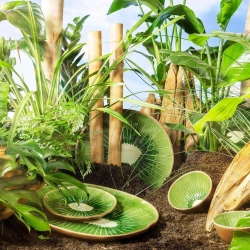 Тарелка десертная Bordallo Pinheiro Tropical Fruits Kiwi (21.7 см)