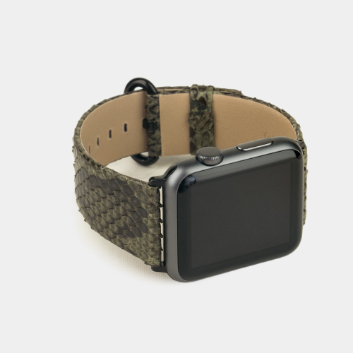 Ремешок для Apple Watch 40/41/42 mm из кожи питона, зеленого цвета