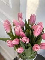 Тюльпаны классика - нежно-розовый цвет