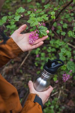 Бутылка Klean Kanteen Classic Narrow Flip Sport 18oz (532 мл) Brushed Stainless