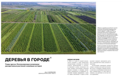 Цветоводство ОСЕНЬ 2025