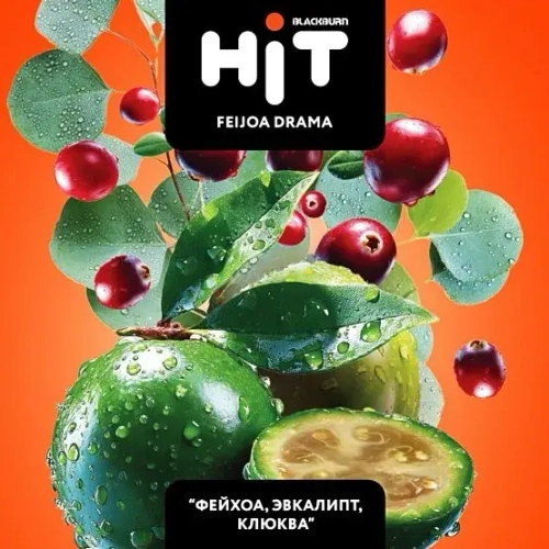BLACKBURN HiT 30г. Фейхоа, эвкалипт, клюква / Feijoa Drama (М)