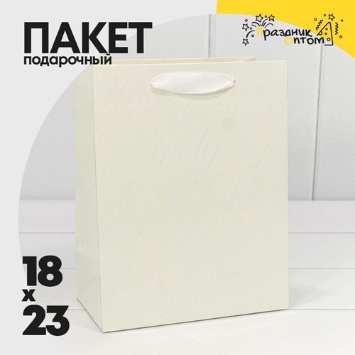 Пакет подарочный 18х23х10см Премиум "Элегант" (Сиреневый)