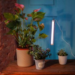 ULT-P39-6W-SPLE IP40 WHITE Светильник для растений светодиодный. высота 320мм. на колышке. Спектр для фотосинтеза. TM Uniel