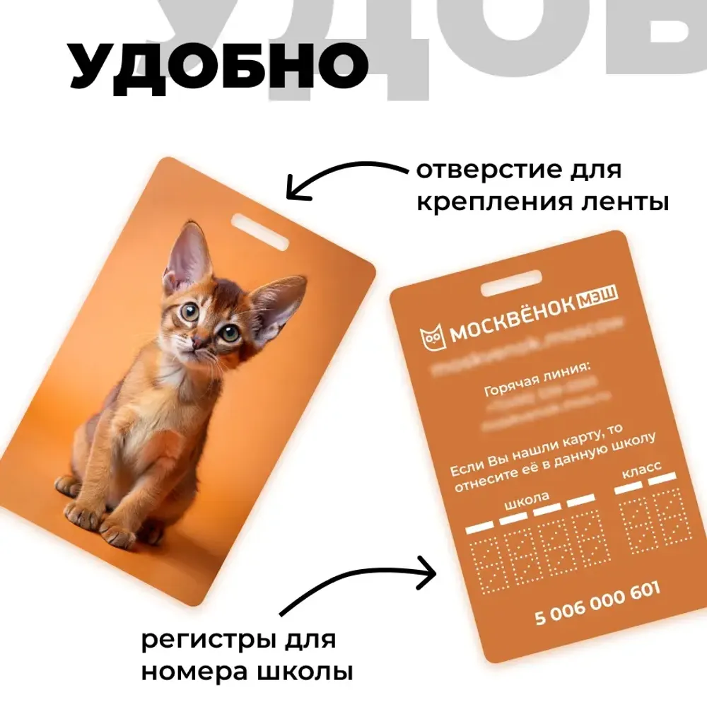 Карта Москвёнок CATS №1 (проход + питание)