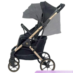 Прогулочная коляска Luxmom T2 / цвета