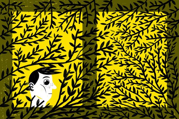 Привет, волки!