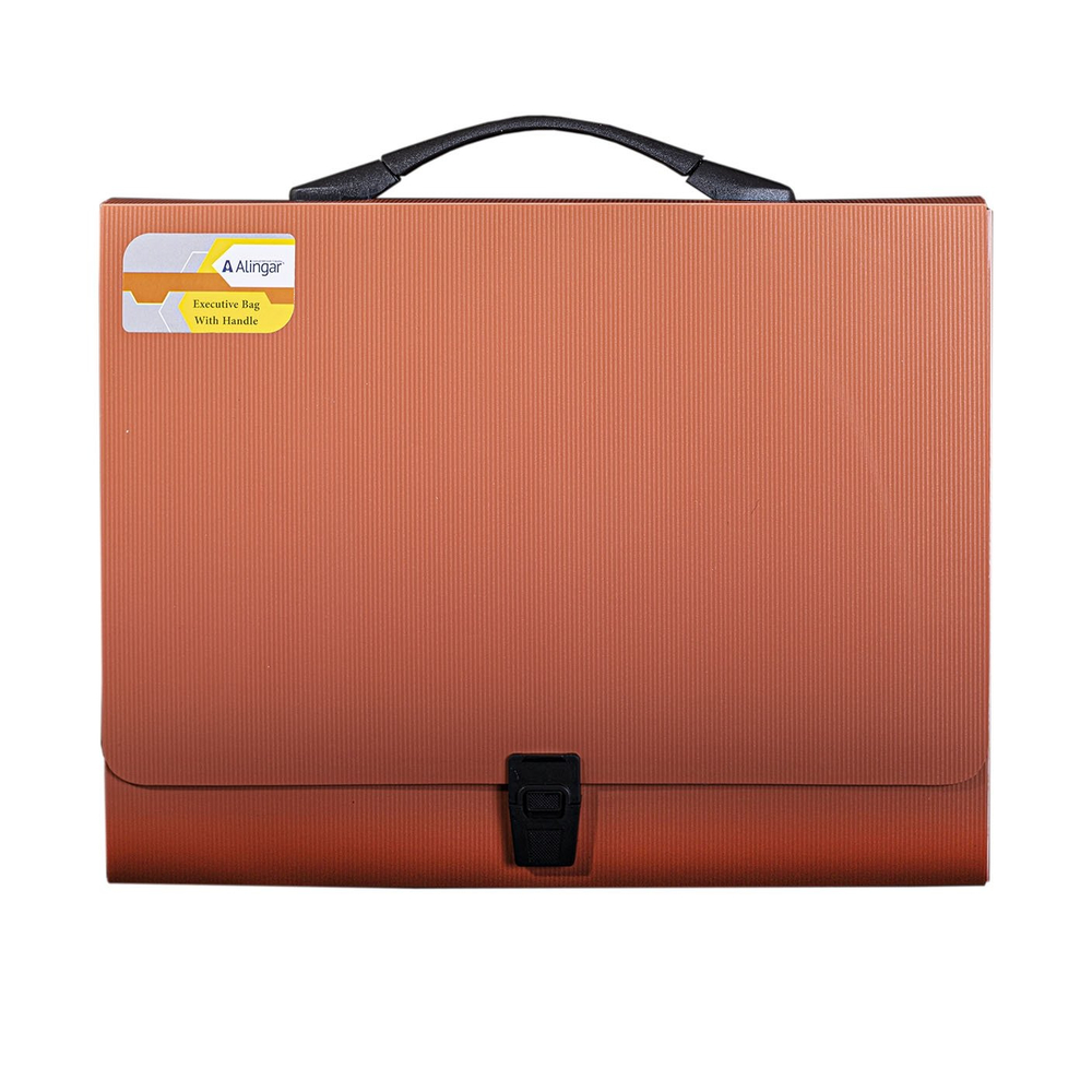 Папка-портфель на застежке Alingar, А4 360х265х40 мм, пластиковая, 800 мкм, ассорти, матовая, карман для визитки, "Flossy"