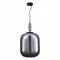 SL1050.713.01 Светильник подвесной ST-Luce Черный/Дымчатый E27 1*40W BURASCA