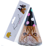 Колпаки праздничные «Котики» фотографичные, 6 шт