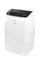 Мобильный кондиционер Royal Clima RM-LP60CN-EW Largo Pro