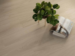 ТОСКАНА: МОНТИОНИ