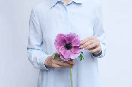 Анемона Де Каен