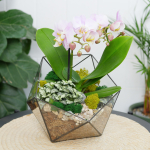 Готовый флорариум с сиреневой орхидеей Икос