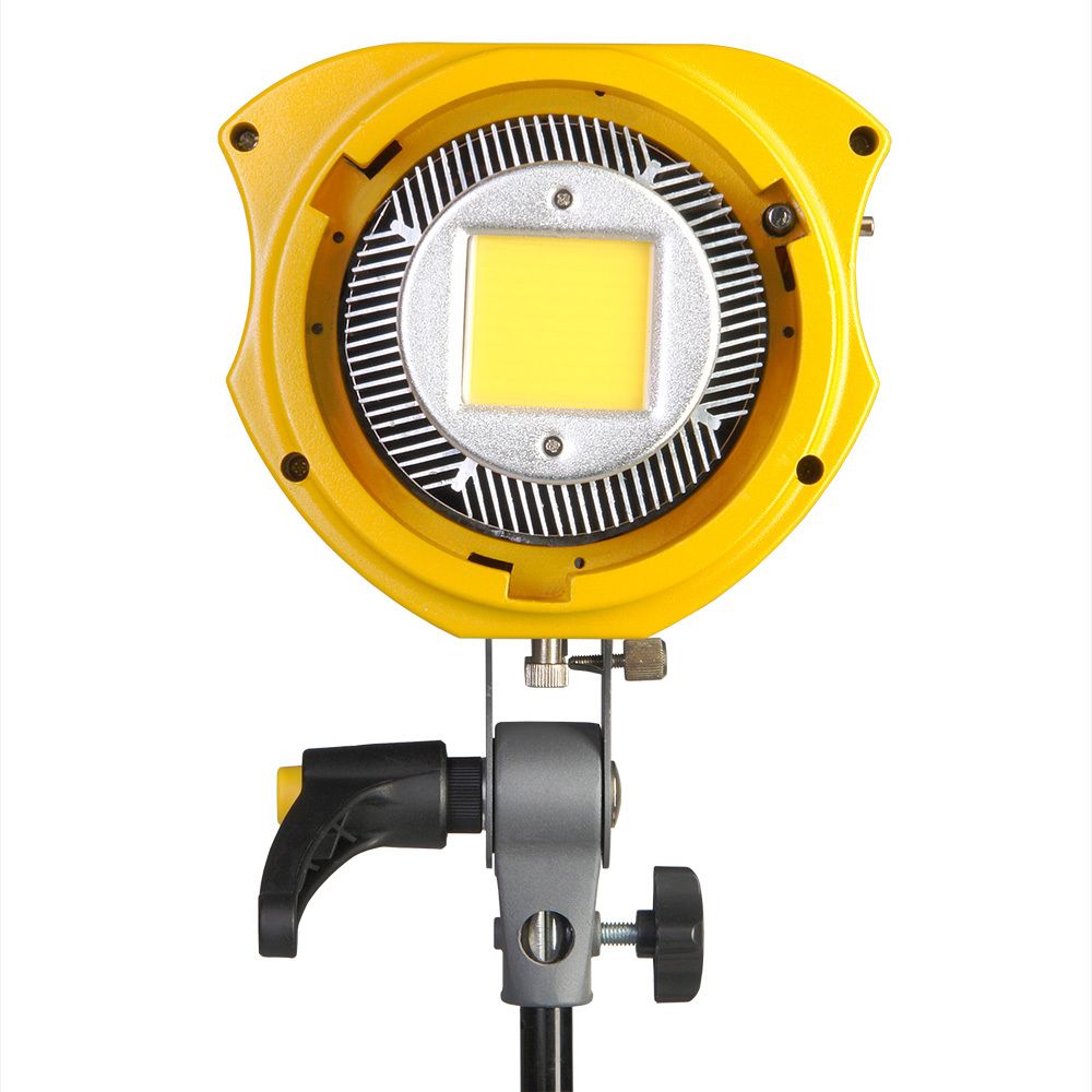 GreenBean SunLight 100 LEDX2 BW