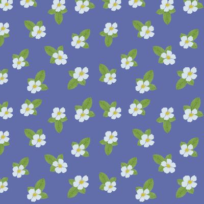 Цветочки яблони на синем фоне