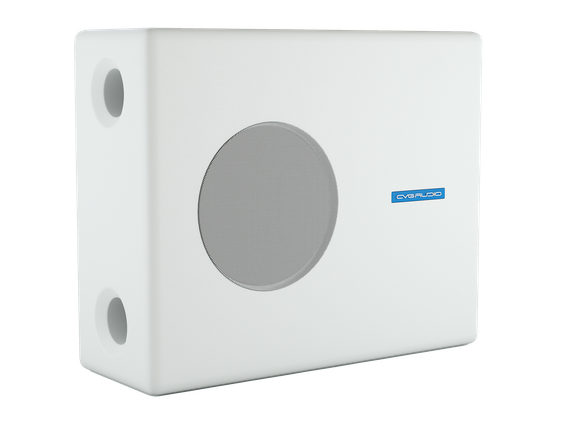 CVGAUDIO SUBone model B-8W/CR/T-100 настенный сабвуфер, мощность 100W/100V