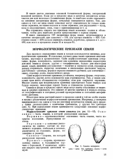 Семена сорных растений | В.Н. Доброхотов