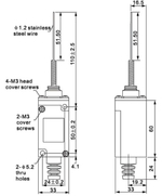 CHL-5330 Конечный выключатель с пружинным штоком с утоньшением на конце