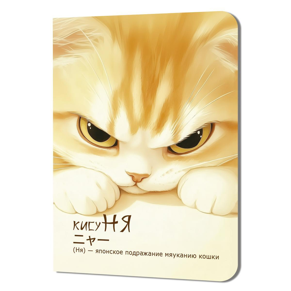 Блокнот 90х120мм. 24л. "КисуНЯ. Котик хмурится" (Контэнт)