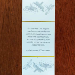 изображение описания настойки "огнёвки" 100мл-adonnis.ru