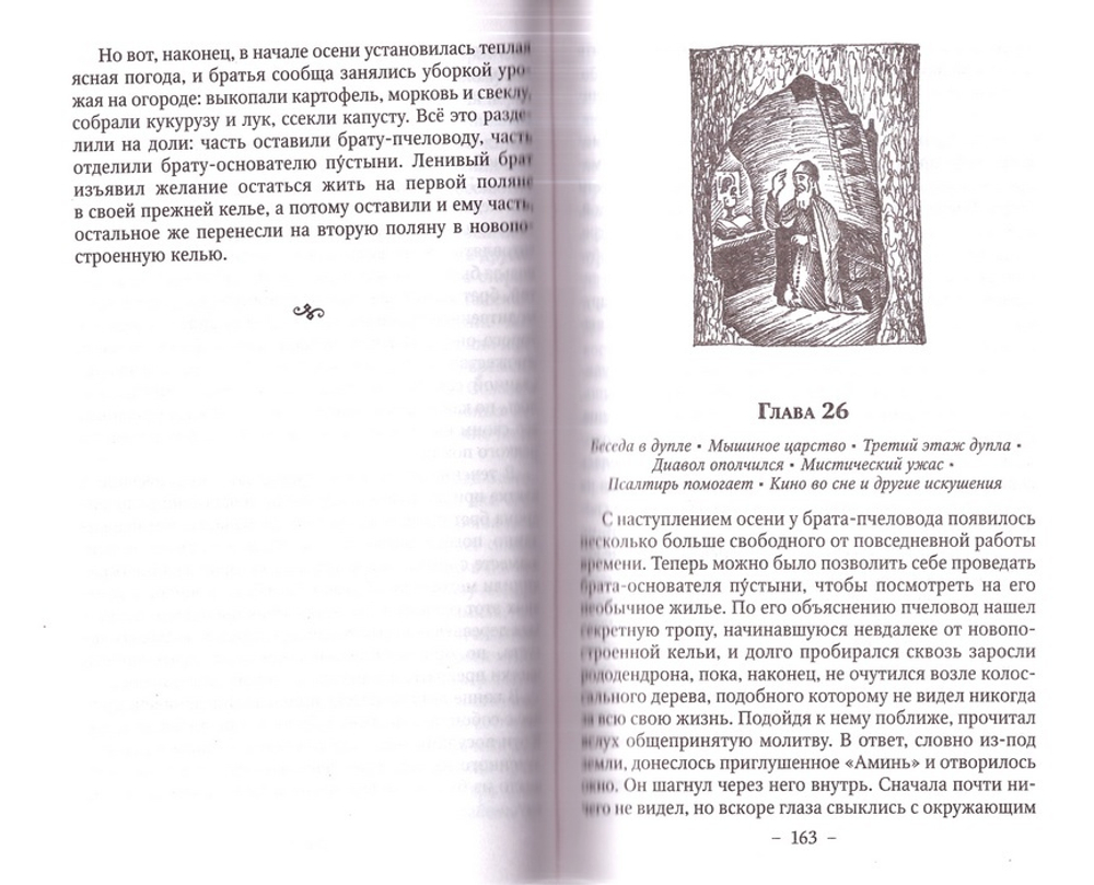 В горах Кавказа. Записки пустынножителя. Игумен N
