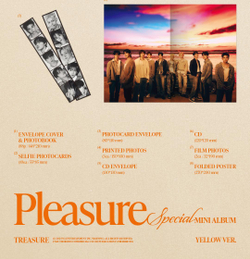 Альбом TREASURE - PLEASURE Special Mini Album RANDOM Version