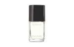 CHANEL 2024 Early Spring Snowflake Limited Nail Polish 13ml