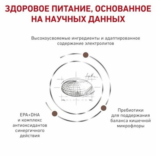 Royal Canin GastroIntestinal Moderate Calorie GIM 35 Feline диета для кошек при панкреатите и нарушениях пищеварения Royal Canin GastroIntestinal Moderate Calorie GIM 35 Feline диета для кошек при панкреатите и нарушениях пищеварения