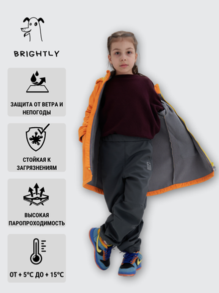 Брюки софтшелл Drive GRAY