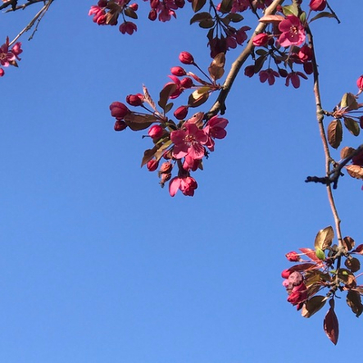 Институт Физического Мастерства - Вебинар 15