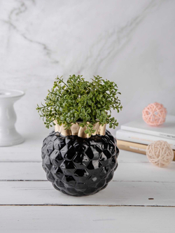 Кашпо "Ананас", черно-золотой (товар партнера)