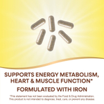 Nature's Way, Alive!® Max 6 Potency, полный мультивитаминный комплекс для взрослых, с железом, 90 капсул