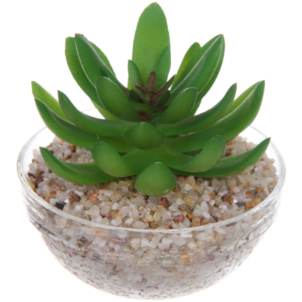 Цветок искусственный «Суккулент» 9*11см в стеклянном горшке