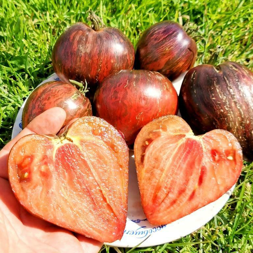 Помидоры Флагманский Звёздный Истребитель Повстанцев - Rl Antho Slicers REBEL STARFIGHTER PRIME