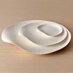 Тарелка одноразовая  , японский дизайн Wasara 23*3,4(h) см, целлюлоза, 1 шт, Garcia