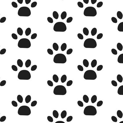 лапы кота. лапы собаки. черно белый принт лапки. paw