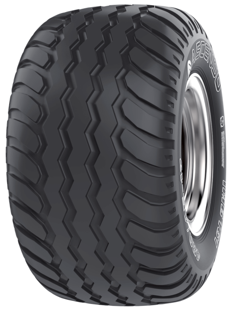 500/50-17 cat.no 3001050019 (нс14) 149A8 IMB161 TL Ascenso