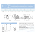 Насосный агрегат моноблочный фланцевый SAER IR 65-250NC