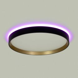 Citilux ETALON CL750321R LED RGB Светильник с пультом Чёрный+Золото