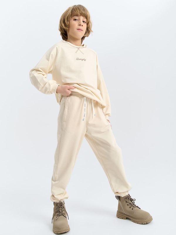 Джоггеры облегченные 