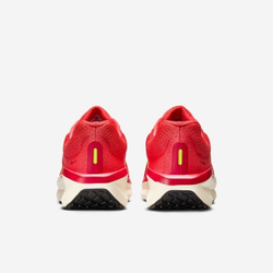 Кроссовки мужские NIKE NIKE AIR WINFLO 11