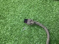 Проводка заднего бампера Haval F7 (2018-2024)