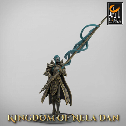 Эльф Полуэльфы Темные эльфы Дроу Воин Паладин Варвар Файтер Рыцарь миниатюра для dnd, днд, pathfinder, фентези, Настольная игра, НРИ, Варгейм, РПГ