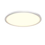 Потолочный светильник Maytoni MOD426CL-L43WK1