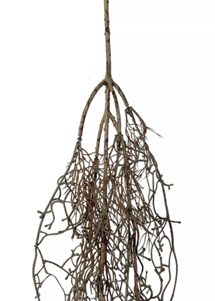 Корень мелкий 135 см