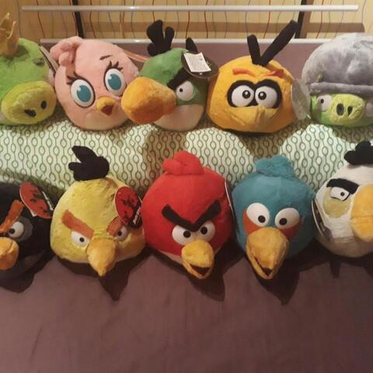 Злые птицы заклевали Wildberries