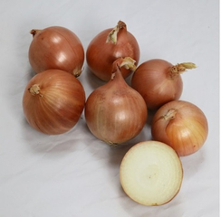 Октант F1 семена лука репчатого (Гавриш)