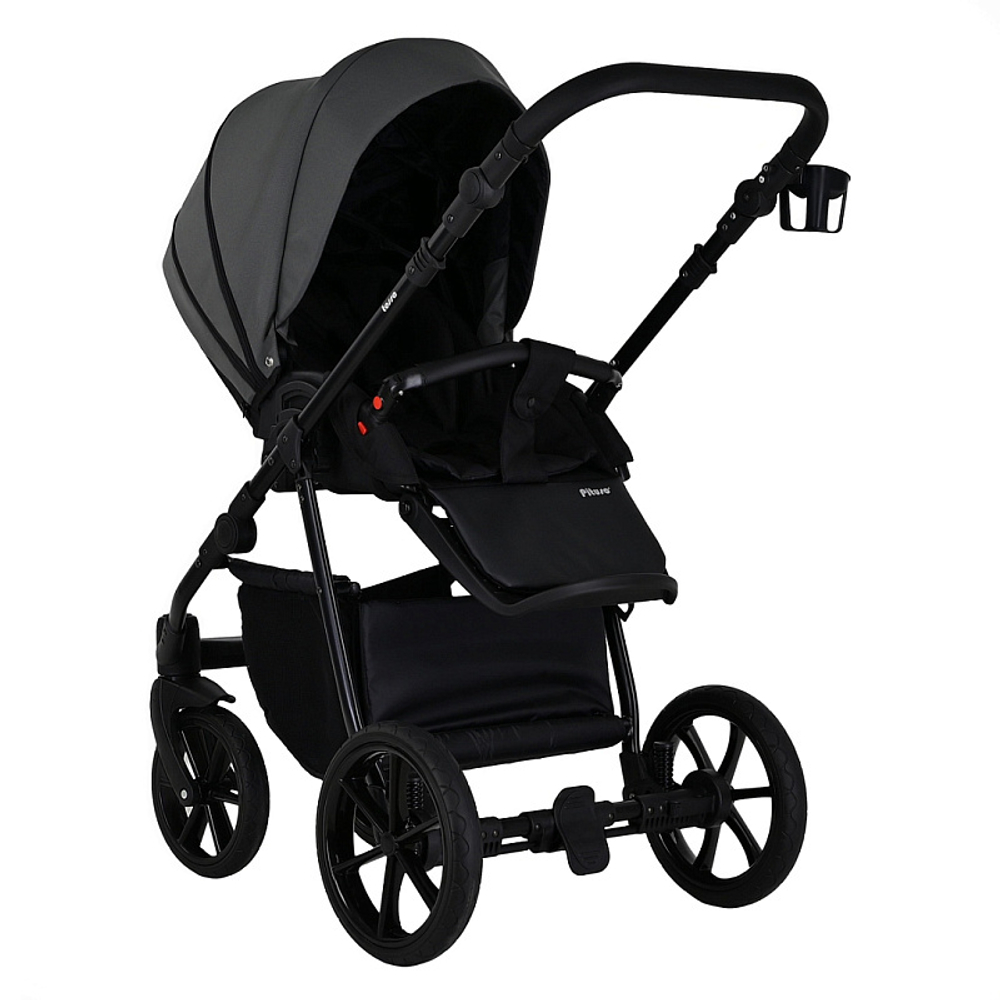 Детская коляска Pituso Tossa 2 в 1 TS/50/04 Dark Grey